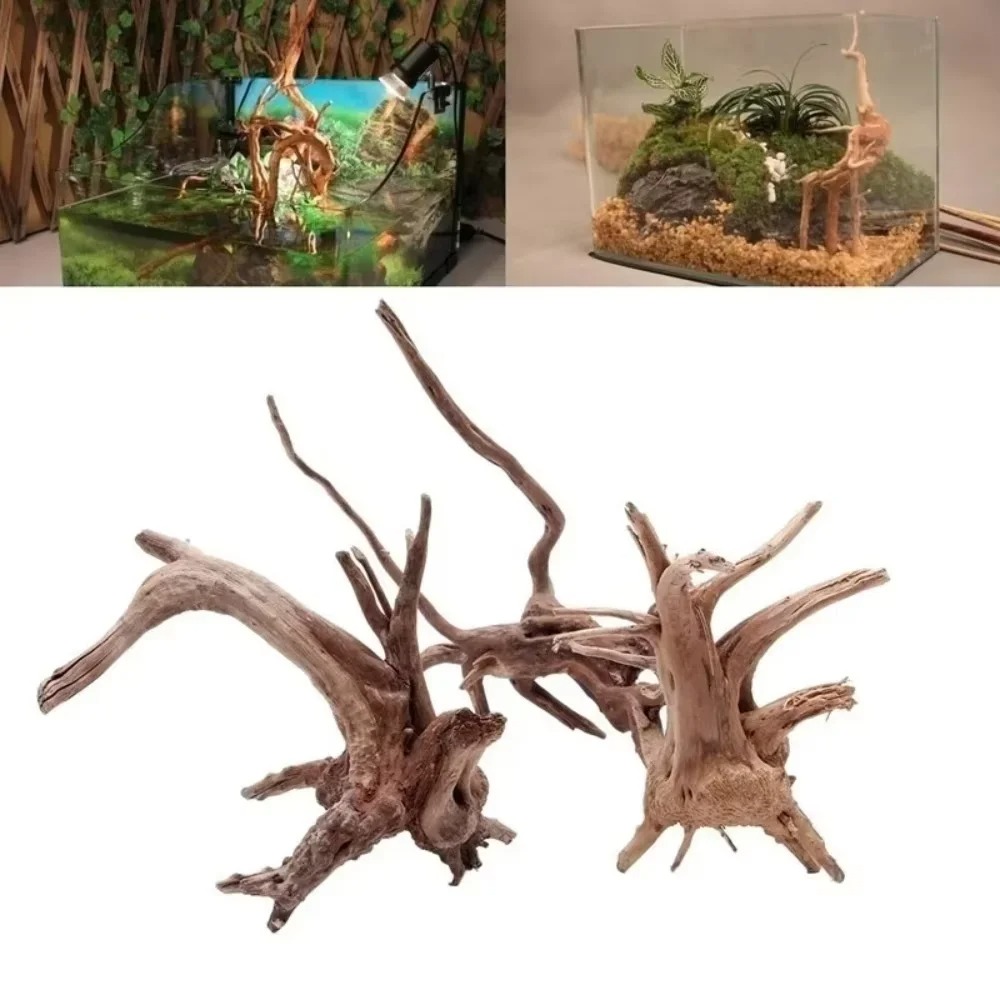 Aquarium Fish Land - (15-20cm) Doğal Deniz Odunu Akvaryum Dekorasyonu
