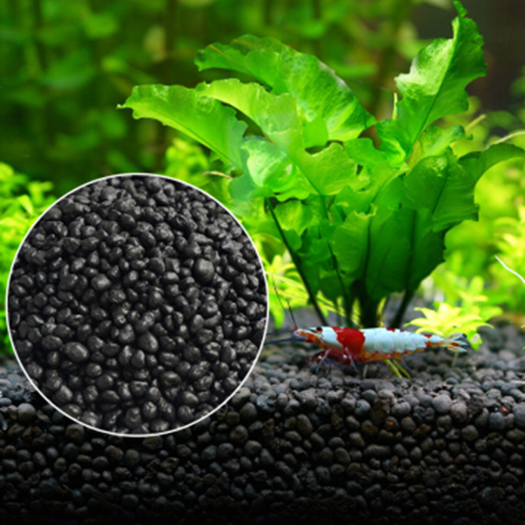 Aquarium Fish Land - Akvaryum bitki tohumları toprak balık tankı