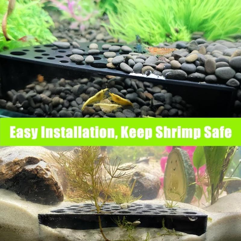 Aquarium Fish Land - Küçük Balıklar İçin Yeni Akvaryum Gizli