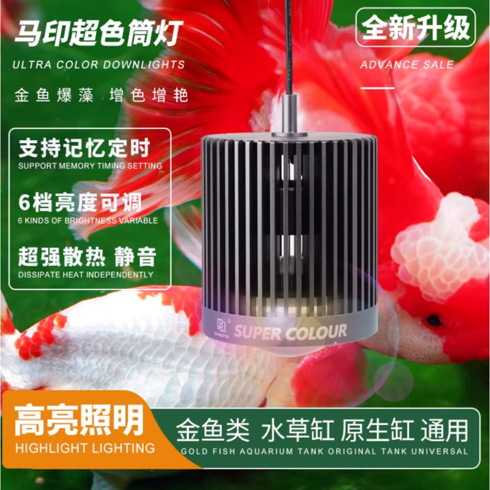 Mayin Süper Renkli Akvaryum 10 - Aquarium Fish Colour incelemesi ve fiyatı