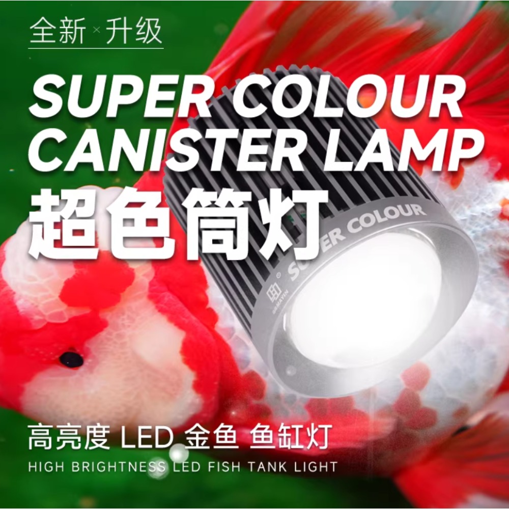 Mayin Süper Renkli Akvaryum 10 - Aquarium Fish Colour incelemesi ve fiyatı
