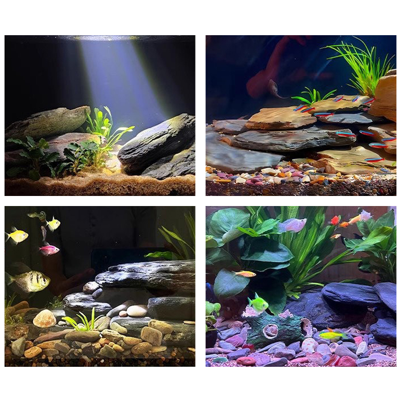 500/1000g Balık Tankı Peyzaj T - Aquarium Fish Land incelemesi ve fiyatı