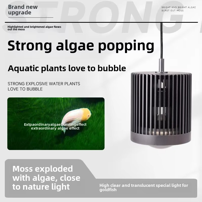 Skynuo Süper Renk 100 W Tatlı  - Aquarium Fish Colour incelemesi ve fiyatı