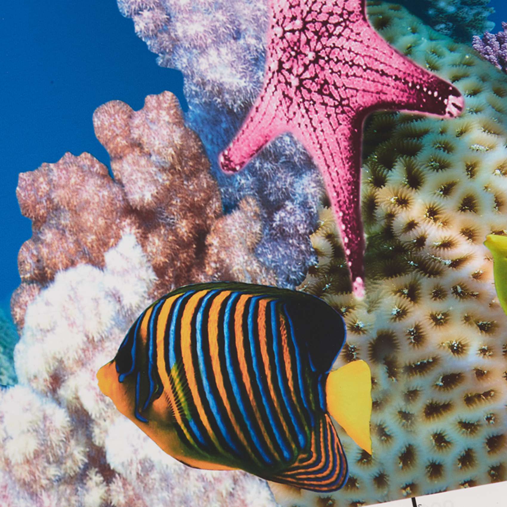 ABWR-Akvaryum Arka Plan Kağıdı - Aquarium Fish Wallpaper incelemesi ve fiyatı