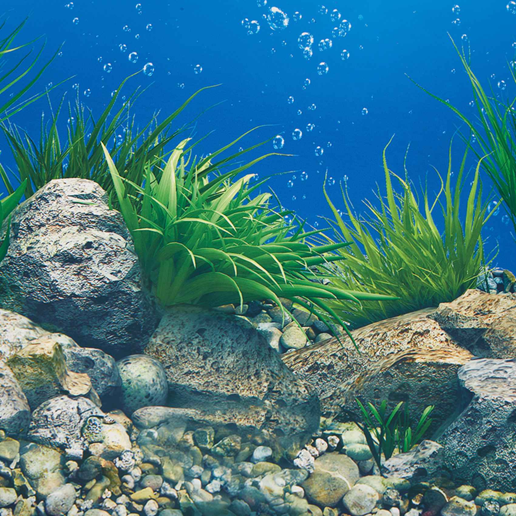 ABWR-Akvaryum Arka Plan Kağıdı - Aquarium Fish Wallpaper incelemesi ve fiyatı