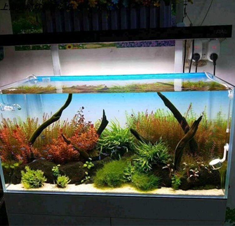 RGB Akrilik Balık Tankı Arka P - Aquarium Fish Colour incelemesi ve fiyatı