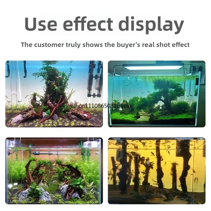RGB Akrilik Balık Tankı Arka P - Aquarium Fish Colour incelemesi ve fiyatı