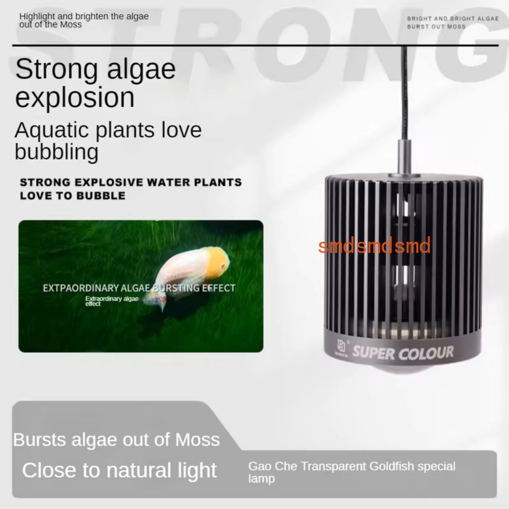 Süper Renkli 100W Tatlı Su Jap - Aquarium Fish Colour incelemesi ve fiyatı