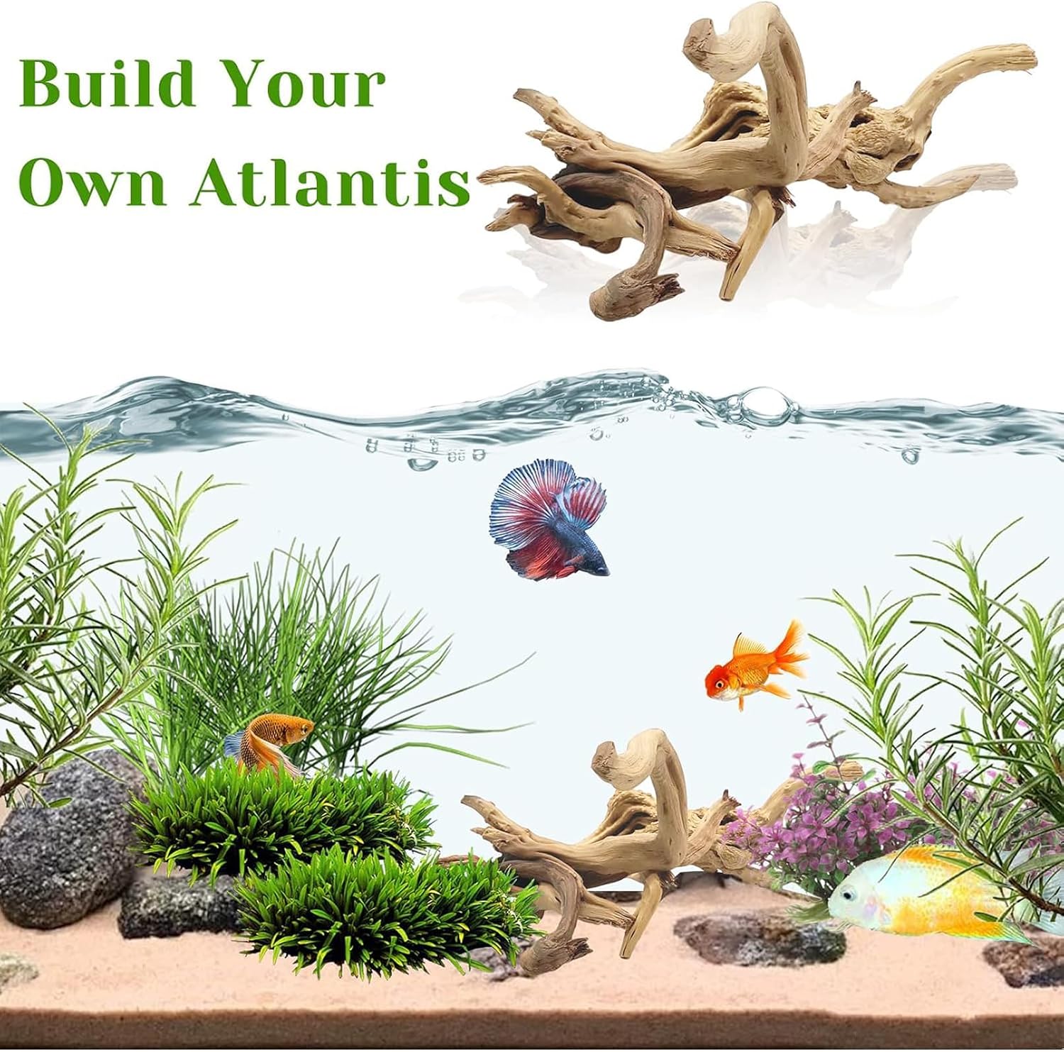 1 adet 20-25CM doğal dalgaları - Aquarium Fish Land incelemesi ve fiyatı