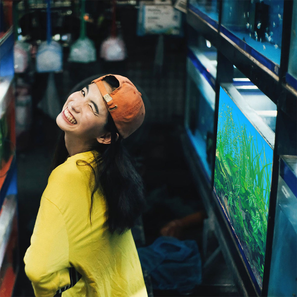 Balık Tankı Arka Plan Kağıdı K - Aquarium Fish Wallpaper incelemesi ve fiyatı