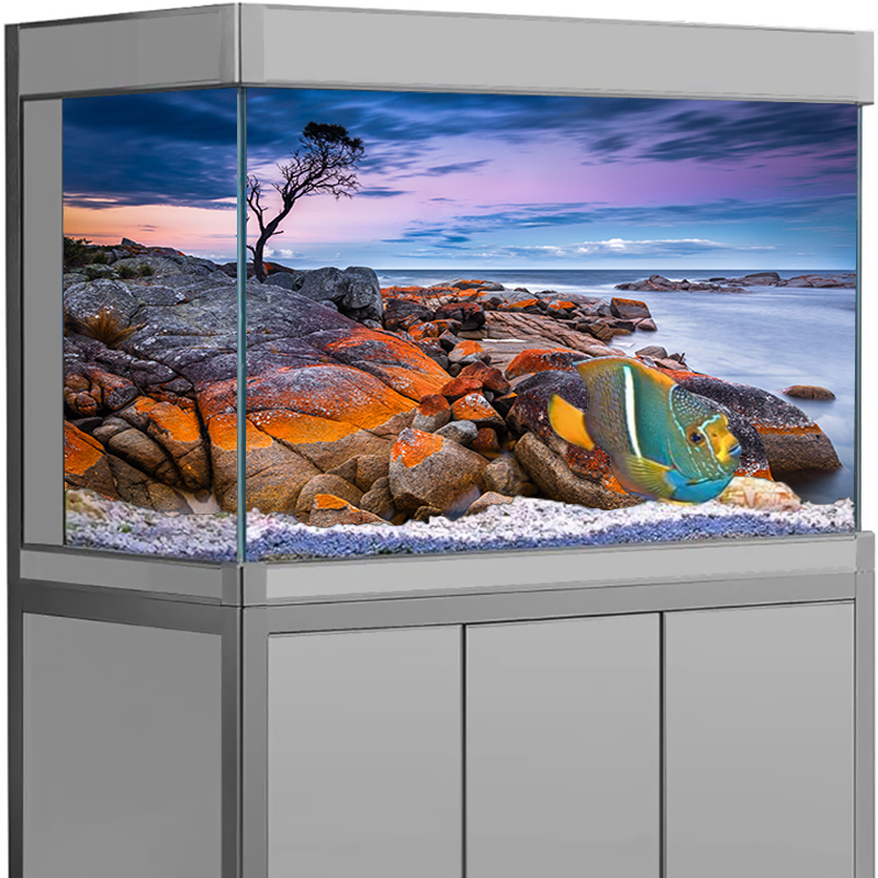 Akvaryum Arka Plan Çıkartması  - Aquarium Fish Wallpaper incelemesi ve fiyatı