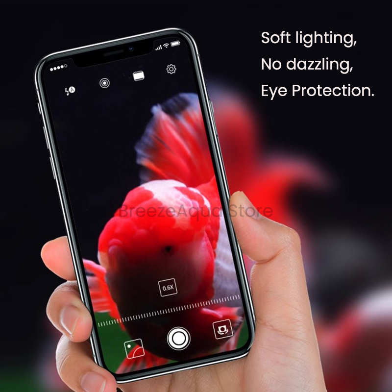 MAYIN Süper Renkli 100W Tatlı  - Aquarium Fish Colour incelemesi ve fiyatı