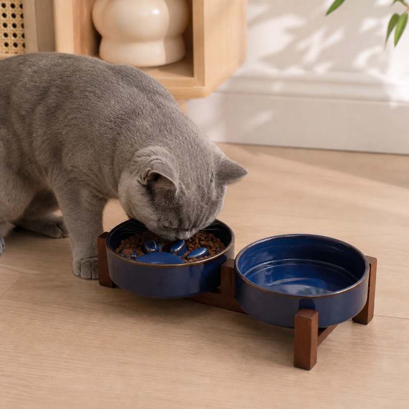 Japon tarzı fırın seramik evci - Royal Canin Food Medium incelemesi ve fiyatı