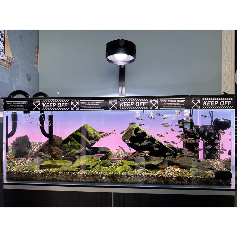 RGB Akrilik Balık Tankı Arka P - Aquarium Fish Colour incelemesi ve fiyatı