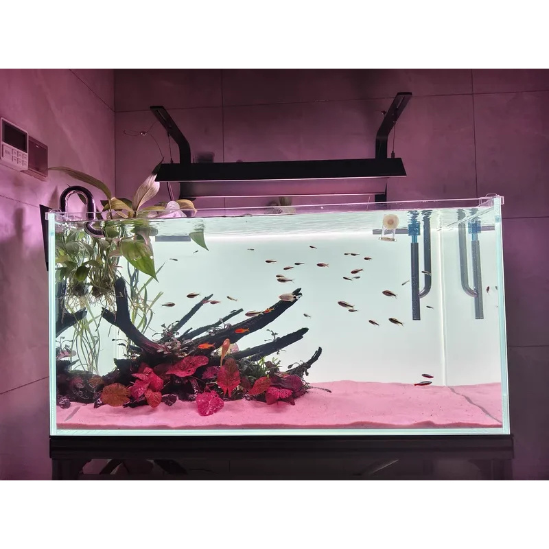 RGB Akrilik Balık Tankı Arka P - Aquarium Fish Colour incelemesi ve fiyatı