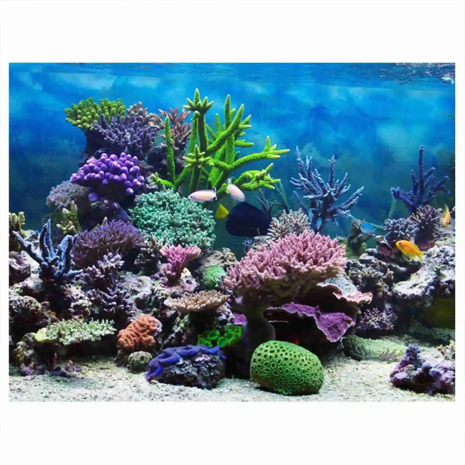 3D akvaryum manzara Poster Rai - Aquarium Fish Wallpaper incelemesi ve fiyatı