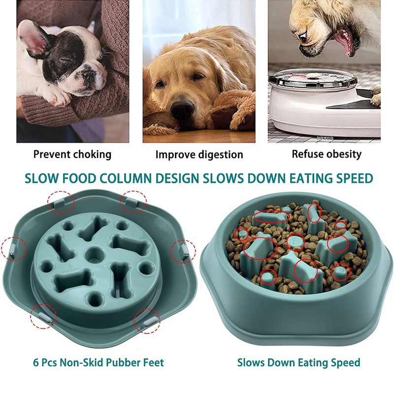 Yavaş Besleyici Köpek Mama Kab - Royal Canin Food Medium incelemesi ve fiyatı