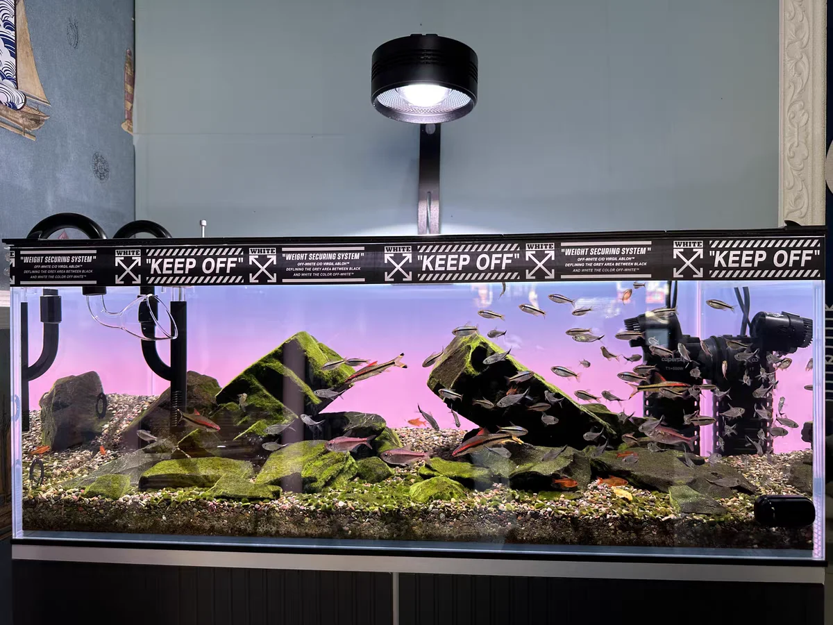 RGB Akrilik Akvaryum Arka Plan - Aquarium Fish Colour incelemesi ve fiyatı