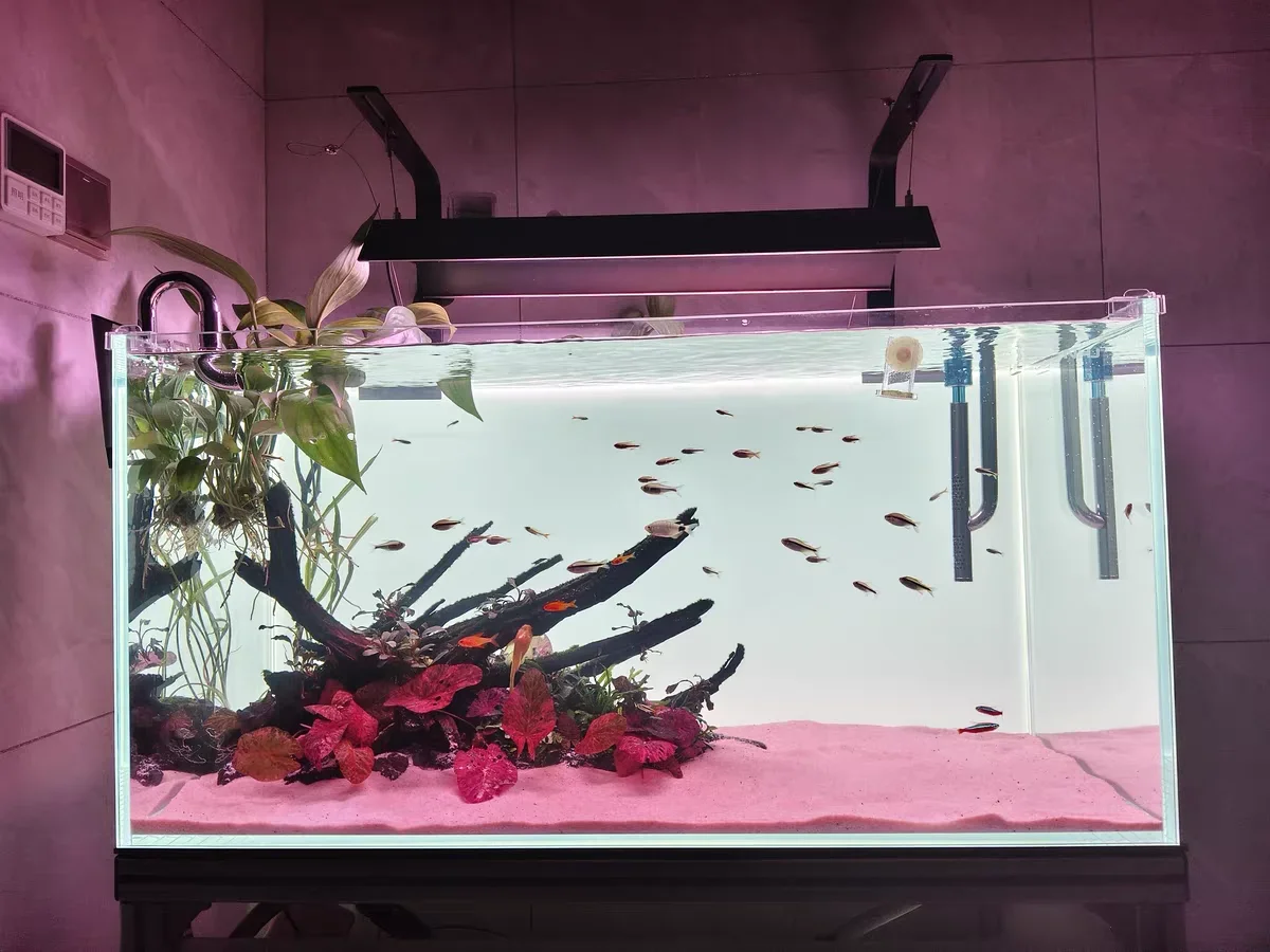 RGB Akrilik Akvaryum Arka Plan - Aquarium Fish Colour incelemesi ve fiyatı