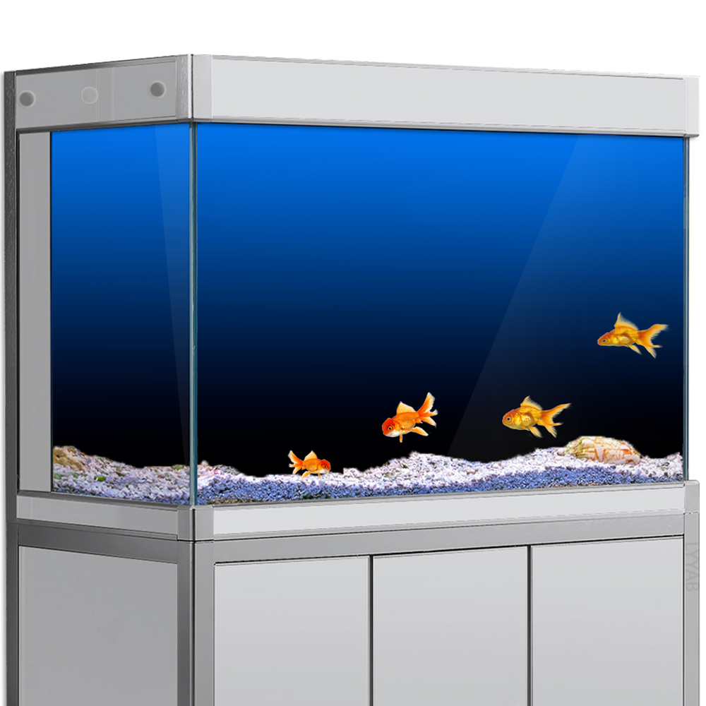 Balık Tankı Arka Plan Etiket S - Aquarium Fish Wallpaper incelemesi ve fiyatı