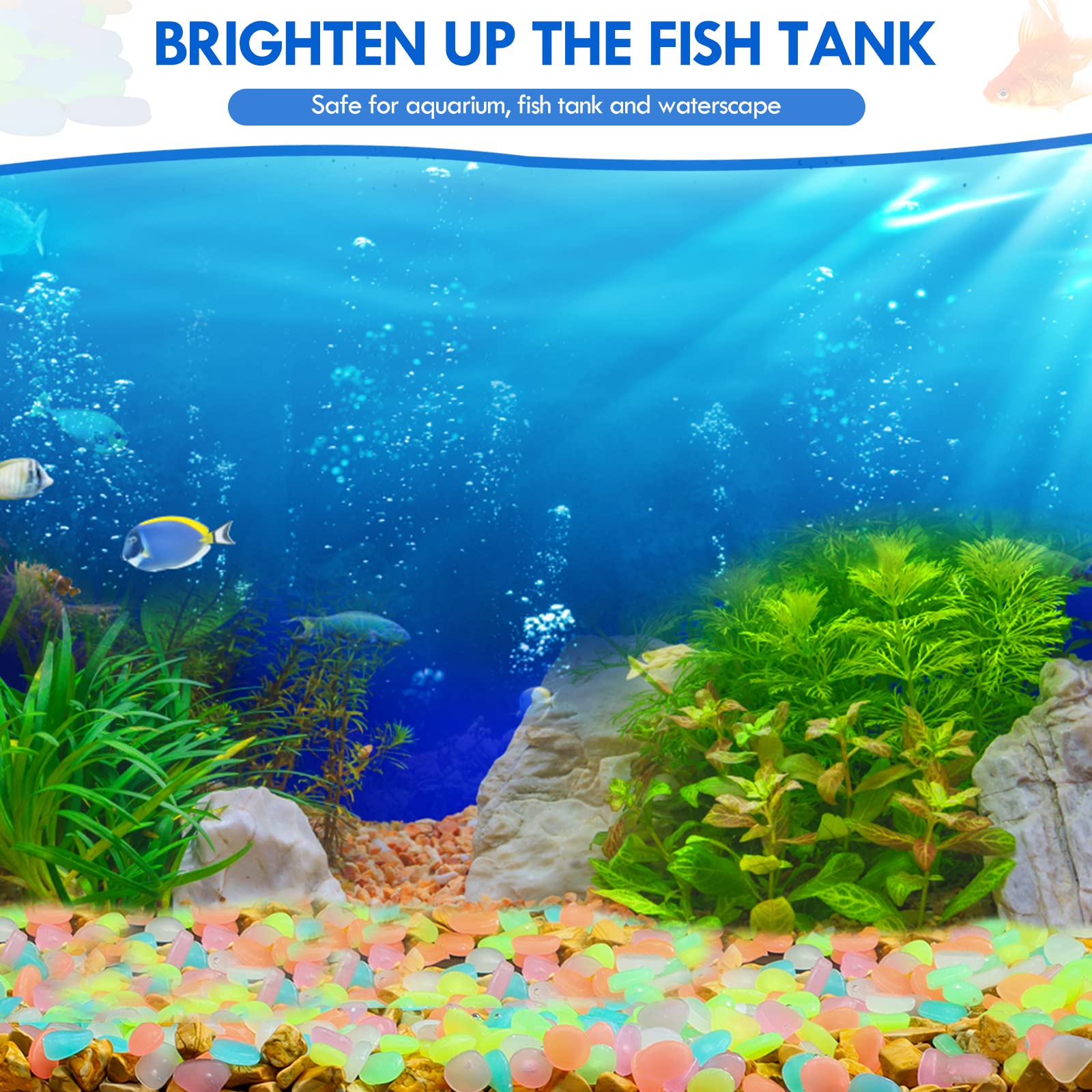 100 Adet Karanlıkta Glow Bahçe - Aquarium Fish Land incelemesi ve fiyatı