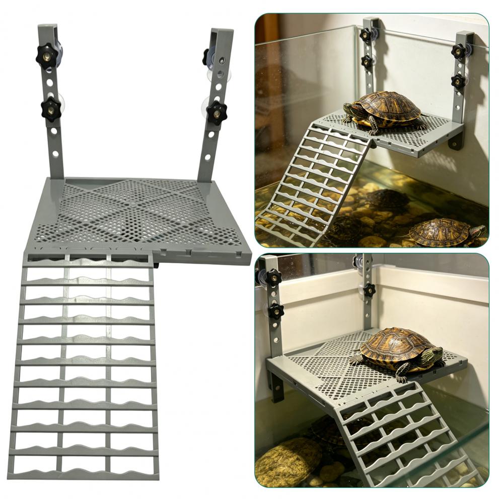 Akvaryum Dekorasyonu Katı Form - Aquarium Fish Land incelemesi ve fiyatı