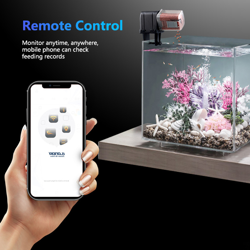 Akıllı WiFi Balık Besleyici Uz - Aquarium Fish Auto Feeder incelemesi ve fiyatı