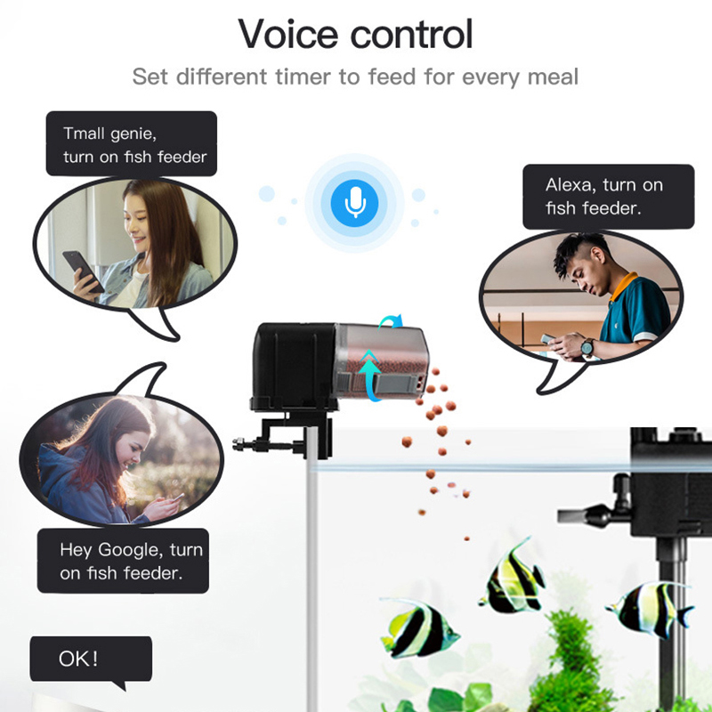 Akıllı WiFi Balık Besleyici Uz - Aquarium Fish Auto Feeder incelemesi ve fiyatı
