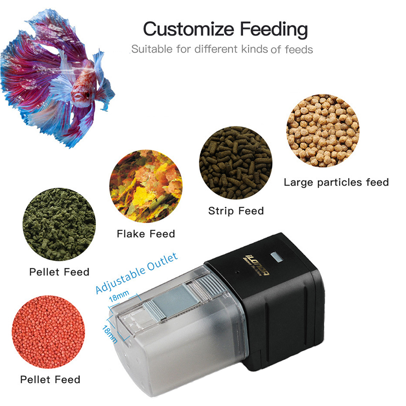 Akıllı WiFi Balık Besleyici Uz - Aquarium Fish Auto Feeder incelemesi ve fiyatı