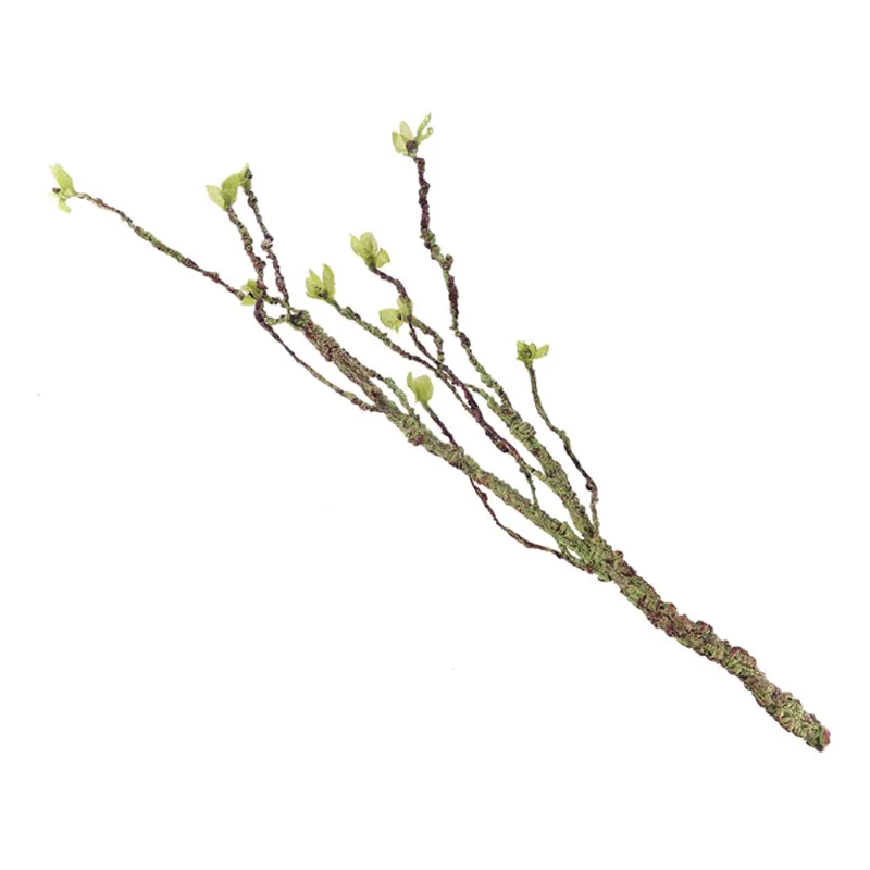 Vines dekor tırmanma dalları r - Aquarium Fish Land incelemesi ve fiyatı